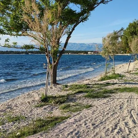 Luxury Teuta With Heated Pool Zaton (Zadar)